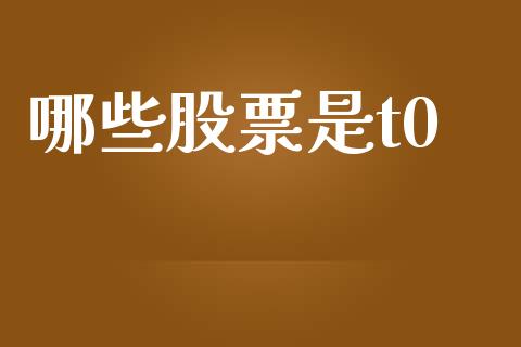哪些股票是t0_https://www.apanben.com_国际期货_第1张