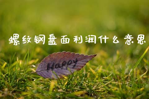 螺纹钢盘面利润什么意思_https://www.apanben.com_国际期货_第1张