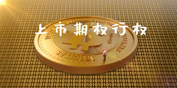 上市期权行权_https://www.apanben.com_国际财经_第1张