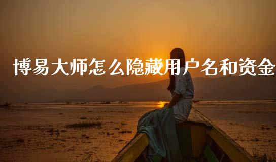 博易大师怎么隐藏用户名和资金_https://www.apanben.com_股票怎么玩_第1张