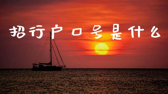 招行户口号是什么_https://www.apanben.com_股市分析_第1张