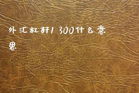 外汇杠杆1 300什么意思_https://www.apanben.com_股票怎么玩_第1张