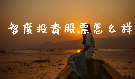 智度投资股票怎么样_https://www.apanben.com_国际期货_第1张
