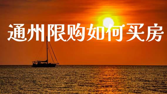 通州限购如何买房_https://www.apanben.com_国际财经_第1张