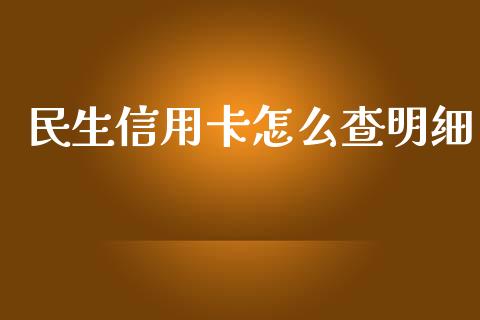 民生信用卡怎么查明细_https://www.apanben.com_期货学院_第1张