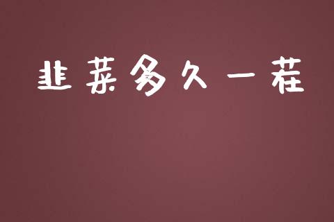 韭菜多久一茬_https://www.apanben.com_国际财经_第1张