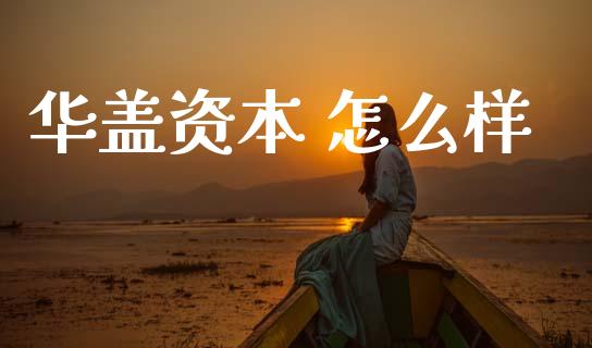 华盖资本 怎么样_https://www.apanben.com_股票怎么玩_第1张