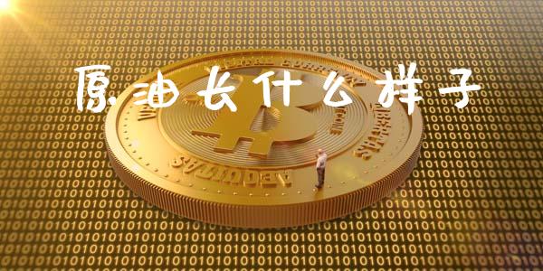 原油长什么样子_https://www.apanben.com_在线喊单_第1张