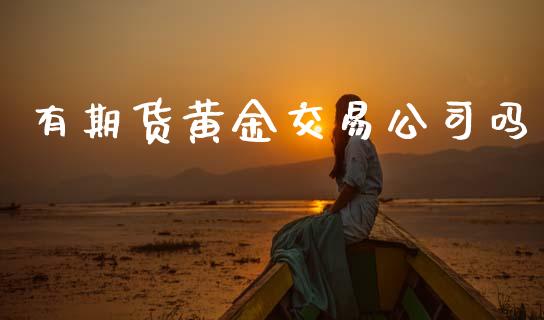 有期货黄金交易公司吗_https://www.apanben.com_期货学院_第1张