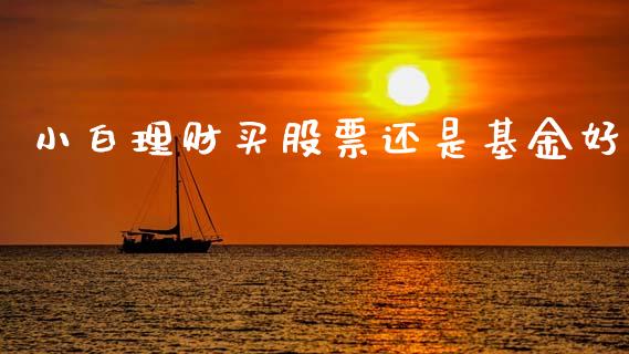 小白理财买股票还是基金好_https://www.apanben.com_国际财经_第1张