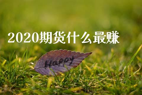 2020期货什么最赚_期货学院_第1张_安贝财经网 2020期货什么最赚_https://www.apanben.com_期货学院_第1张