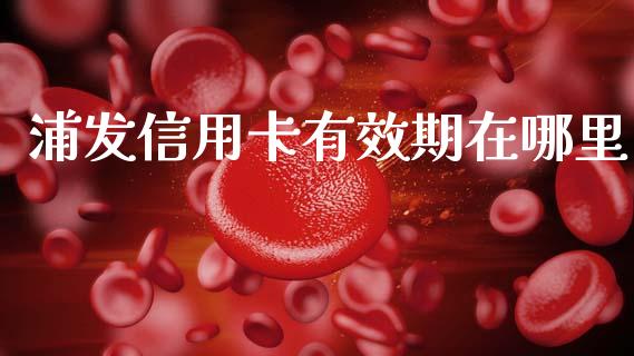 浦发信用卡有效期在哪里_https://www.apanben.com_国际期货_第1张
