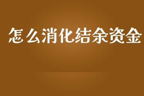 怎么消化结余资金_https://www.apanben.com_国际期货_第1张