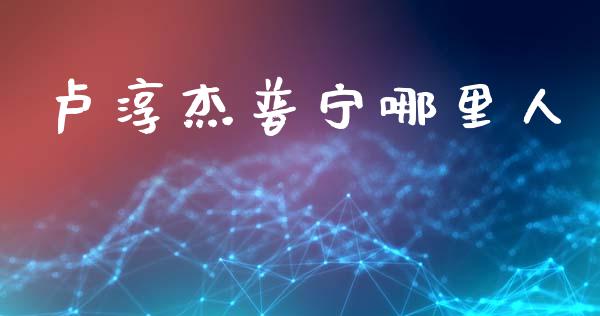 卢淳杰普宁哪里人_https://www.apanben.com_国际财经_第1张
