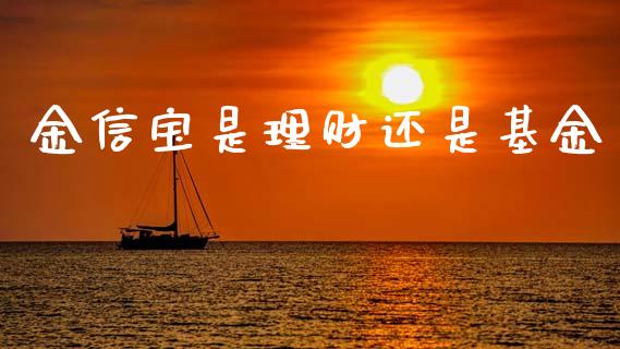 金信宝是理财还是基金_https://www.apanben.com_财经资讯_第1张