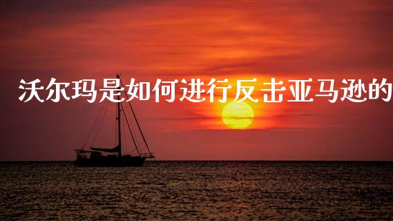 沃尔玛是如何进行反击亚马逊的_https://www.apanben.com_国际期货_第1张