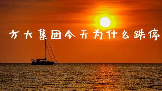 方大集团今天为什么跌停_https://www.apanben.com_财经资讯_第1张