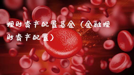 理财资产配置基金（金融理财资产配置）_https://www.apanben.com_财经资讯_第1张