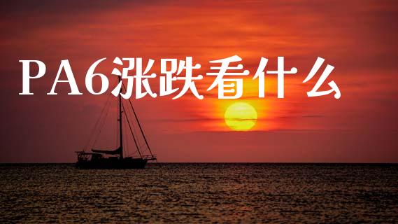 PA6涨跌看什么_https://www.apanben.com_国际财经_第1张