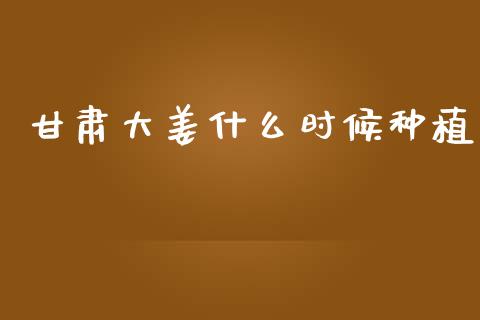 甘肃大姜什么时候种植_https://www.apanben.com_财经资讯_第1张