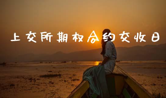 上交所期权合约交收日_https://www.apanben.com_股票怎么玩_第1张