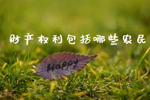 财产权利包括哪些农民_https://www.apanben.com_国际财经_第1张