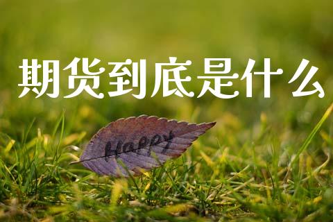 期货到底是什么_https://www.apanben.com_期货学院_第1张