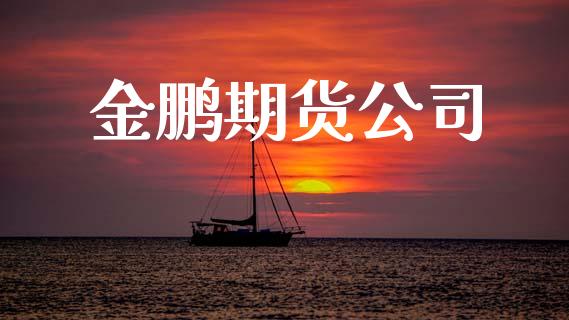 金鹏期货公司_https://www.apanben.com_股市分析_第1张