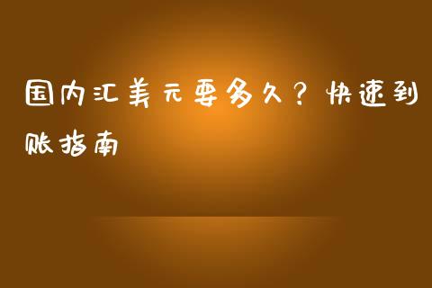 国内汇美元要多久？快速到账指南_https://www.apanben.com_股票怎么玩_第1张