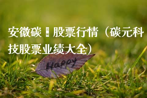 安徽碳鑫股票行情（碳元科技股票业绩大全）_https://www.apanben.com_股市分析_第1张