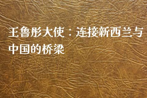 王鲁彤大使：连接新西兰与中国的桥梁_https://www.apanben.com_国际财经_第1张
