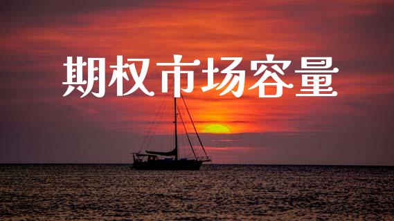 期权市场容量_https://www.apanben.com_在线喊单_第1张
