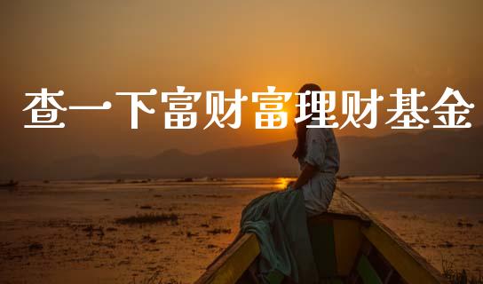 查一下富财富理财基金_https://www.apanben.com_财经资讯_第1张