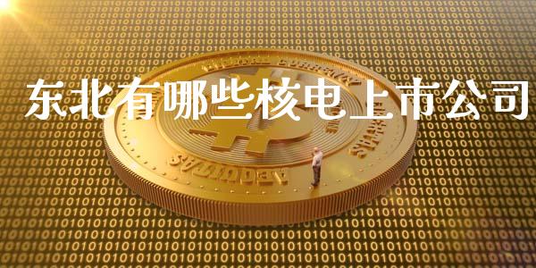 东北有哪些核电上市公司_https://www.apanben.com_国际财经_第1张