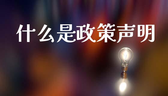 什么是政策声明_https://www.apanben.com_在线喊单_第1张