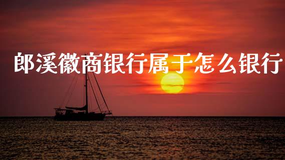 郎溪徽商银行属于怎么银行_https://www.apanben.com_股票怎么玩_第1张