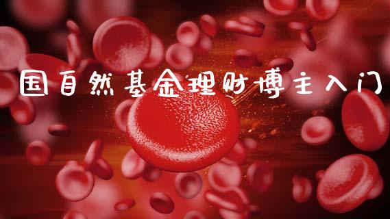 国自然基金理财博主入门_https://www.apanben.com_国际财经_第1张