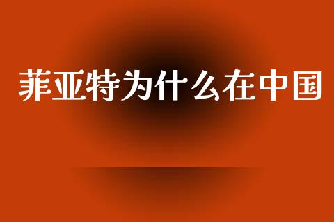 菲亚特为什么在中国_https://www.apanben.com_期货学院_第1张