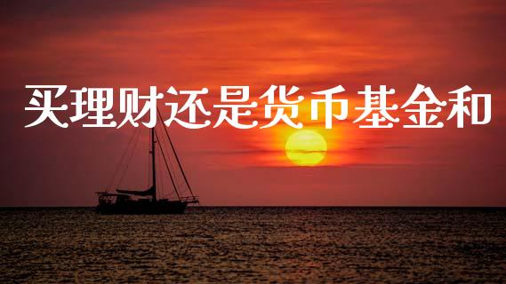 买理财还是货币基金和_https://www.apanben.com_财经资讯_第1张