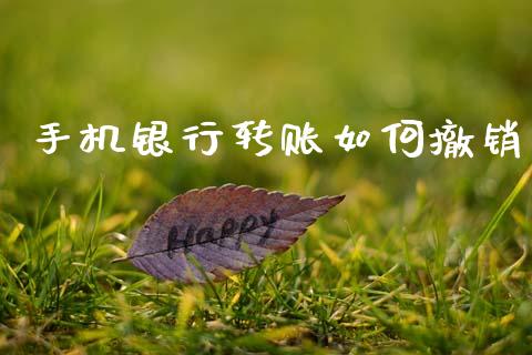 手机银行转账如何撤销_https://www.apanben.com_股票怎么玩_第1张