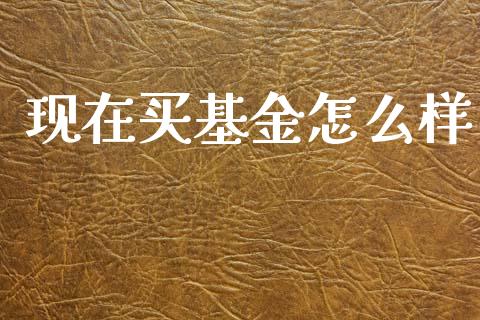 现在买基金怎么样_https://www.apanben.com_国际期货_第1张