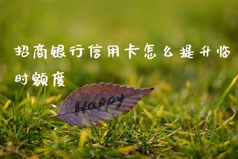 招商银行信用卡怎么提升临时额度_https://www.apanben.com_国际期货_第1张