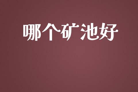 哪个矿池好_https://www.apanben.com_财经资讯_第1张
