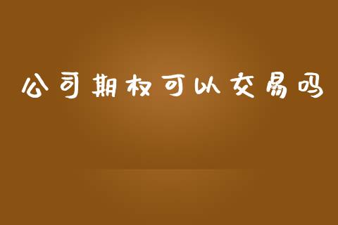 公司期权可以交易吗_https://www.apanben.com_股票怎么玩_第1张