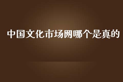 中国文化市场网哪个是真的_https://www.apanben.com_在线喊单_第1张