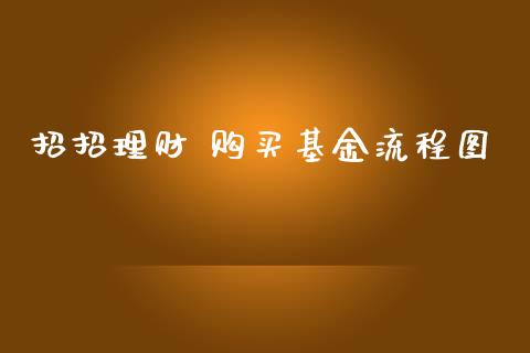 招招理财 购买基金流程图_https://www.apanben.com_财经资讯_第1张