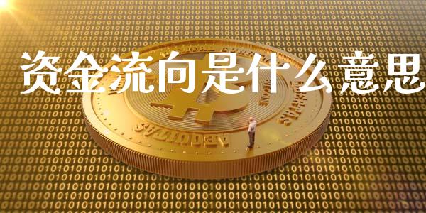 资金流向是什么意思_https://www.apanben.com_国际期货_第1张