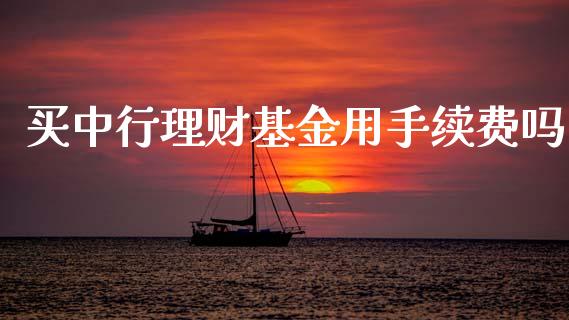 买中行理财基金用手续费吗_https://www.apanben.com_财经资讯_第1张