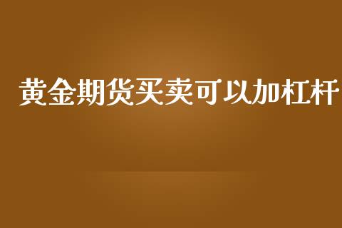 黄金期货买卖可以加杠杆_https://www.apanben.com_国际期货_第1张