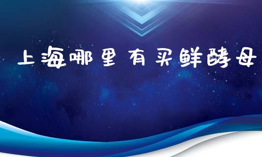 上海哪里有买鲜酵母_https://www.apanben.com_国际期货_第1张